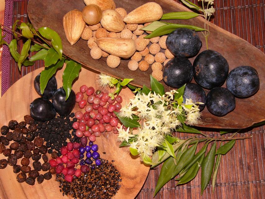 FRESH FRUITS AND NUTS Wholesale Bulk Orders In Season