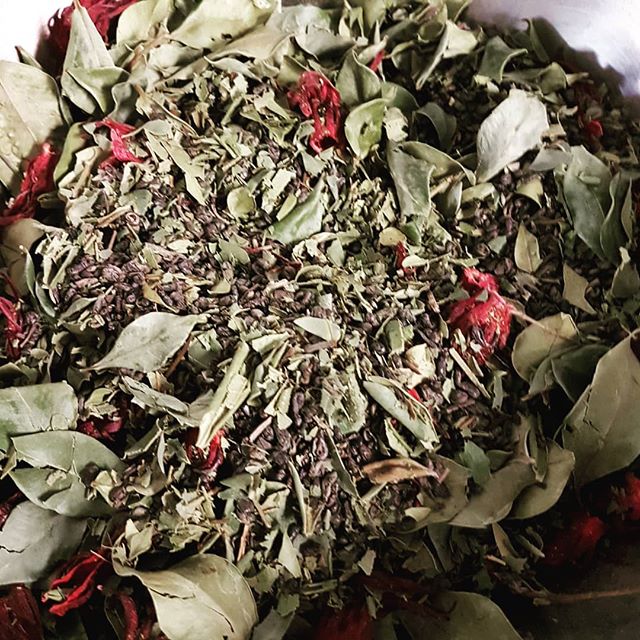 BUSH TEAS wholesale bulk orders